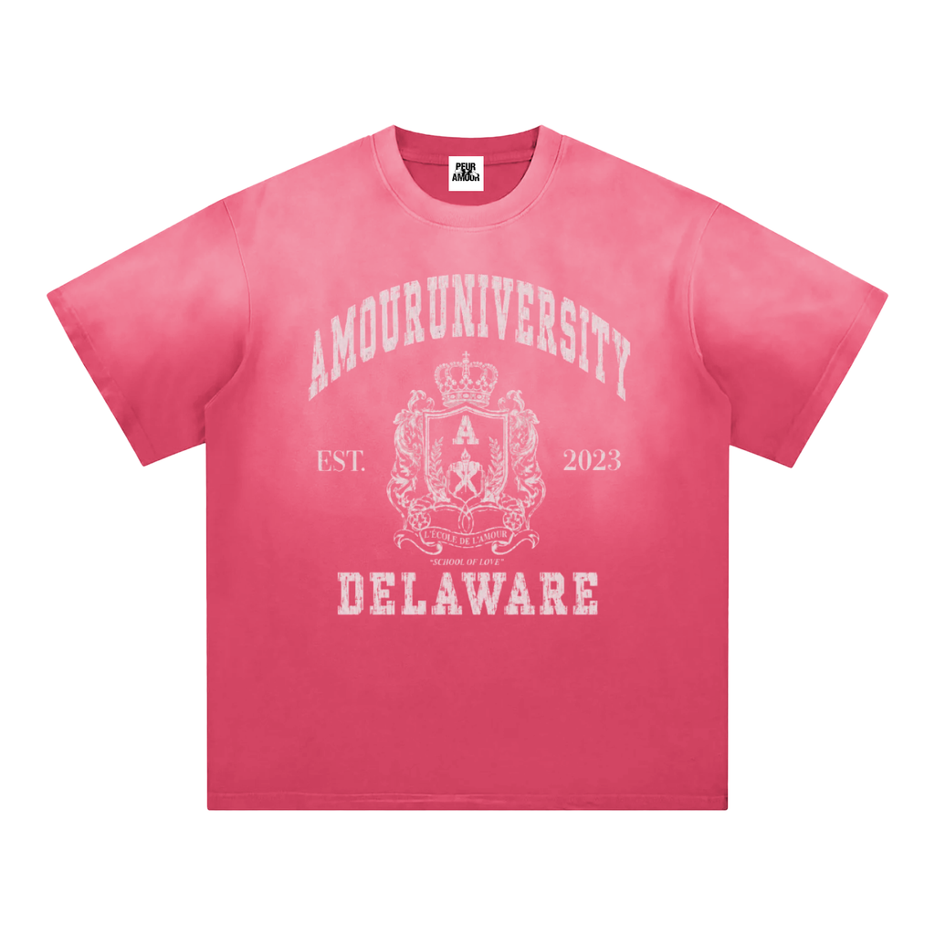 Amour University Sunfade Edge Gradient T-Shirt