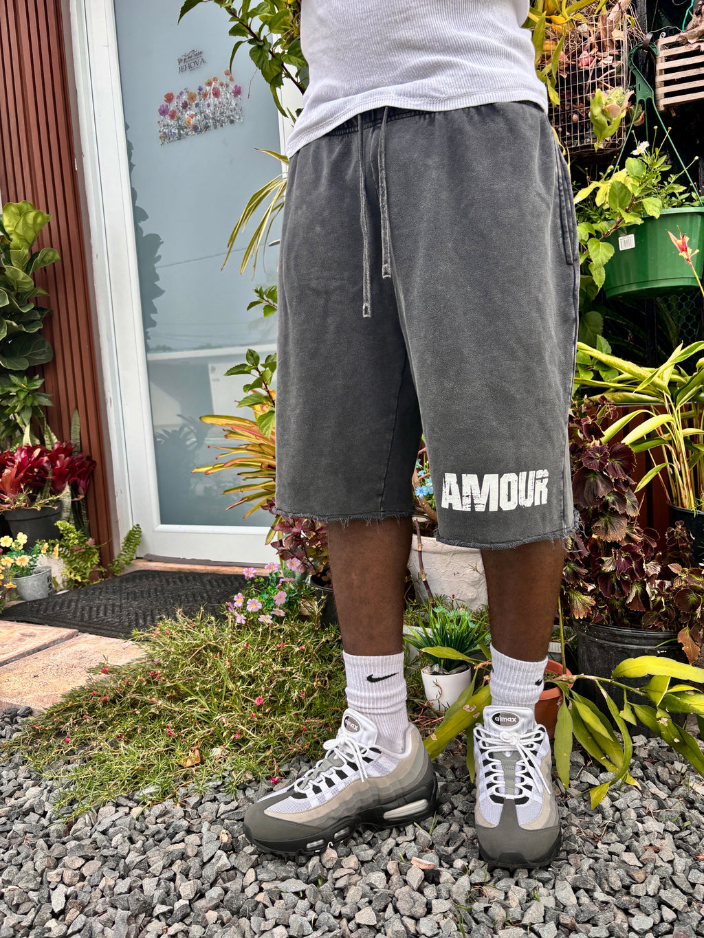 Amour Washed Raw Hem Shorts