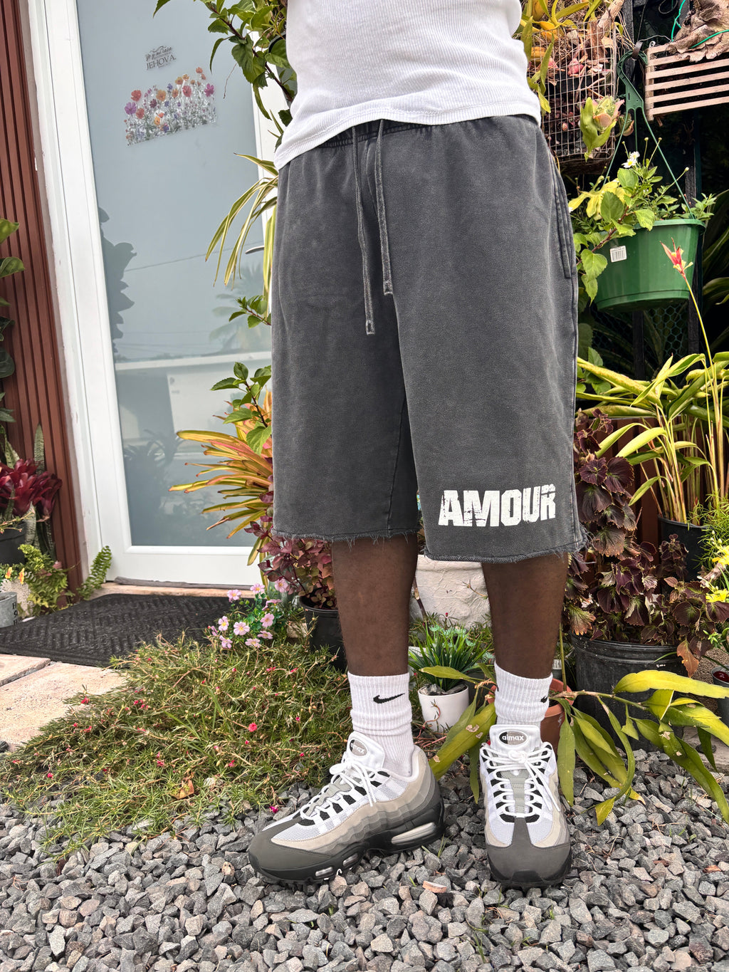 Amour Washed Raw Hem Shorts