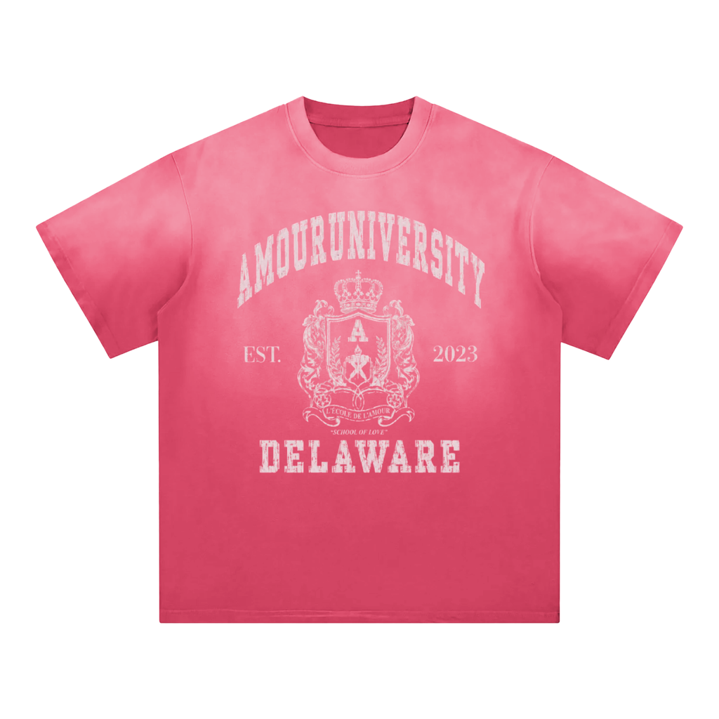 Amour University Sunfade T-Shirt