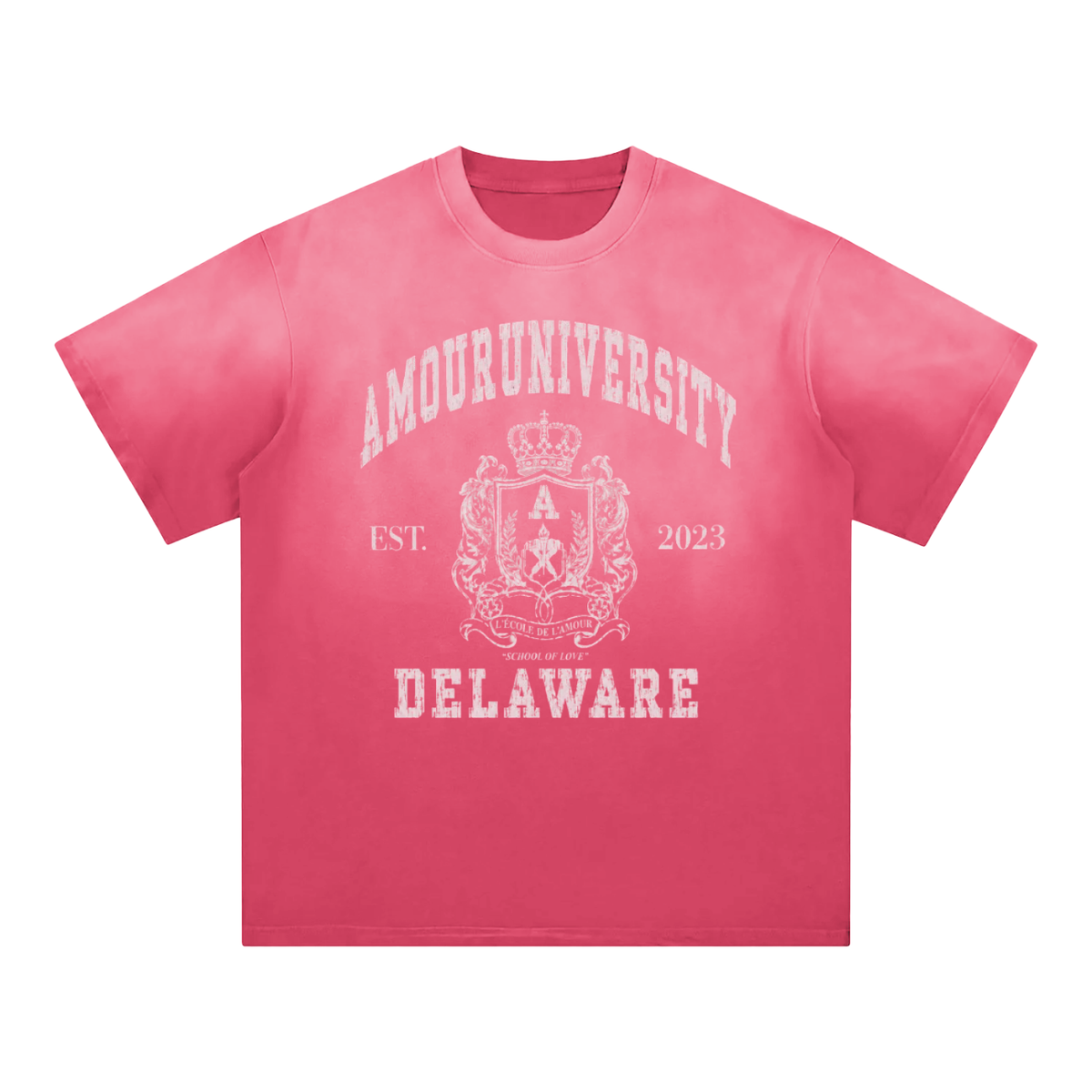 Amour University Sunfade T-Shirt