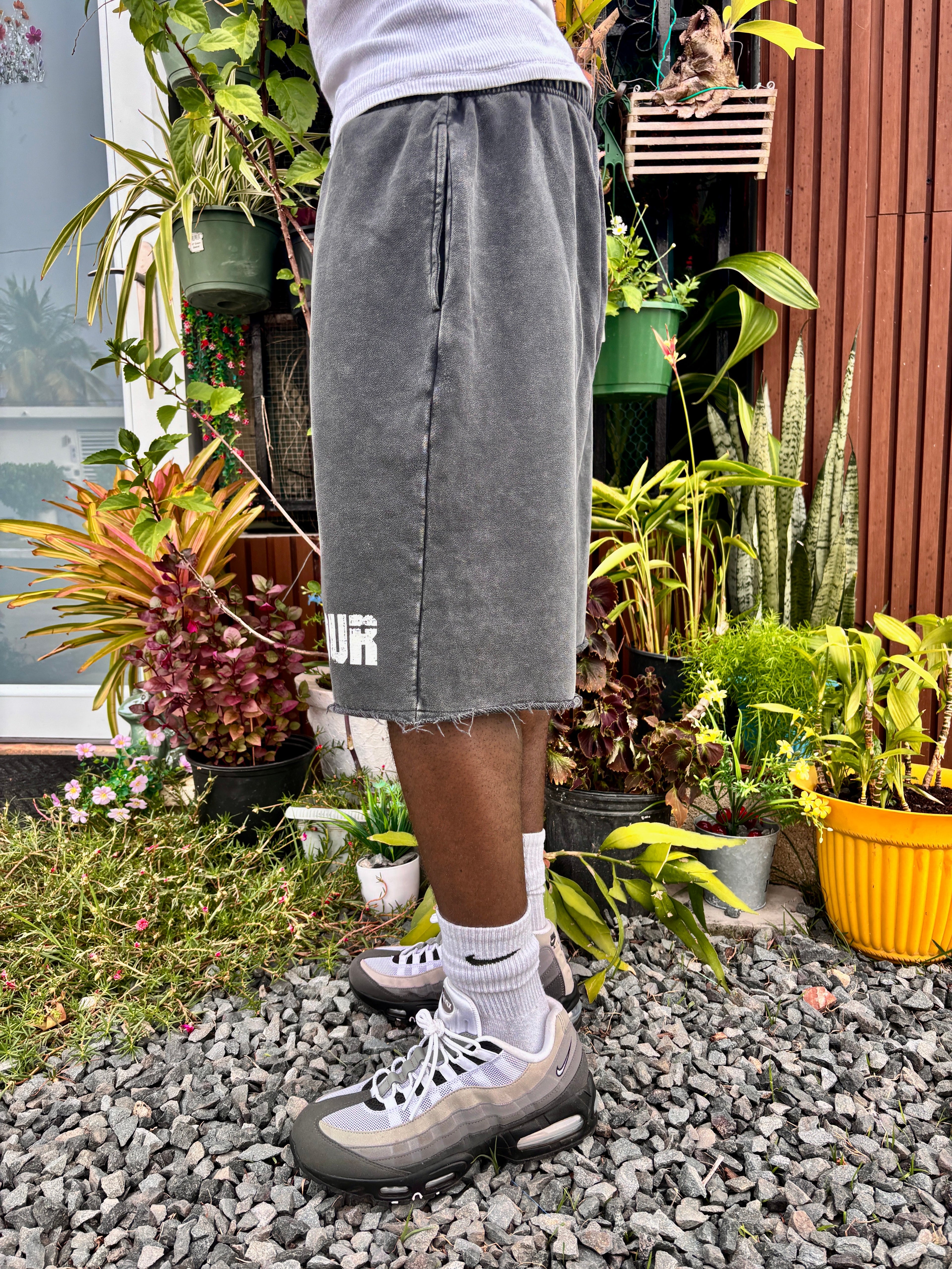 Amour Washed Raw Hem Shorts