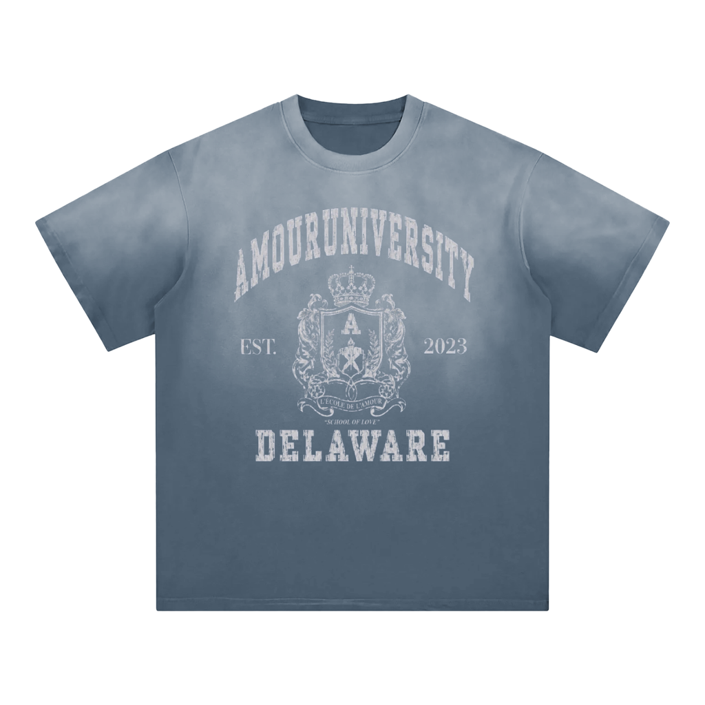 Amour University Sunfade T-Shirt