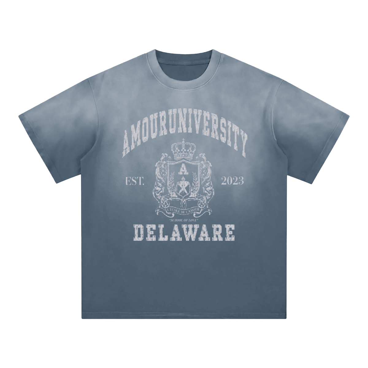 Amour University Sunfade T-Shirt
